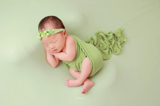 五指山宝宝的奇思妙想